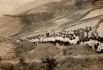 1958년 남산골 마을전경 썸네일 이미지