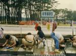 1984년 경포해수욕장 공동 빨래터 썸네일 이미지