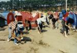 1984년 경포해수욕장 야영객 자연정화 썸네일 이미지