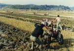 1983년 농토배양사업 썸네일 이미지