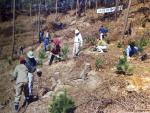 1991년 푸른숲 가꾸기 나무심기 썸네일 이미지
