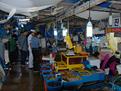 주문진 수산시장 앞 항구 방향에 밀집돼 있는 수산물 노점상 사진 3 썸네일 이미지