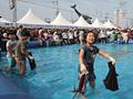 오징어 해변축제의 오징어 맨손 잡기 행사 사진 썸네일 이미지