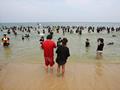 오징어 해변축제의 바다 오징어 맨손 잡기 행사 사진 썸네일 이미지