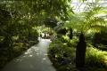 여미지식물원 열대생태원 썸네일 이미지