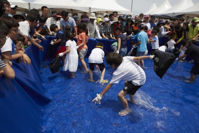 2012년 수산 일품 보목 자리돔 큰잔치 축제 체험행사 썸네일 이미지