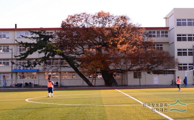 대표시청각 이미지