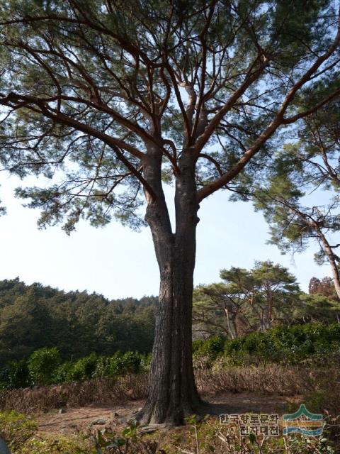 대표시청각 이미지