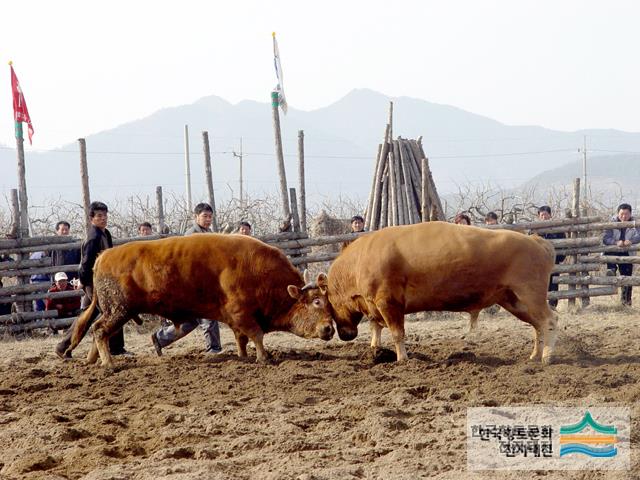 대표시청각 이미지