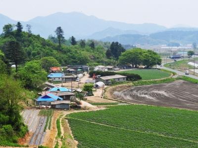 도곡리[백운면] 썸네일 이미지