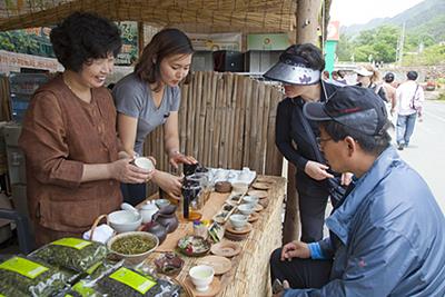 제16회 하동 야생차 문화 축제 차 시음회 썸네일 이미지