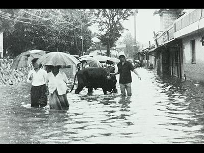 1960년대 수해 썸네일 이미지