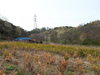 무장리 절터 썸네일 이미지